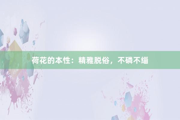 荷花的本性：精雅脱俗，不磷不缁